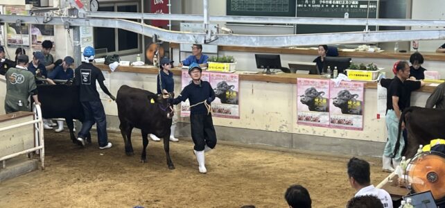 【動物科学科】子牛市場の見学をしました！