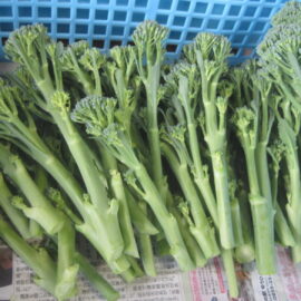 【植物科学科】野菜の調整実習