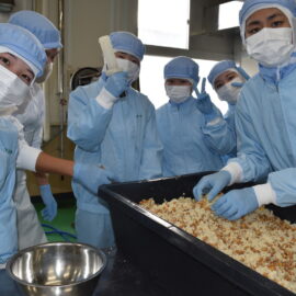 食品科学科味噌の仕込み実習を行いました